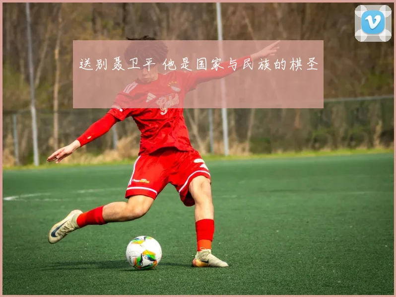 送别聂卫平 他是国家与民族的棋圣