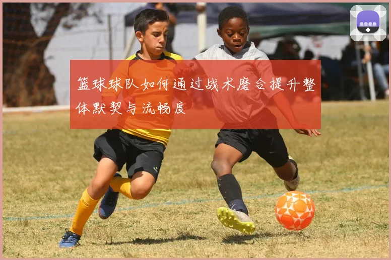 篮球球队如何通过战术磨合提升整体默契与流畅度